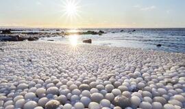 Baltijos jūros pakrantėje – tūkstančiai „ledo kiaušinių“