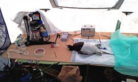 KU arkties ekspedicija