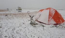 KU arkties ekspedicija