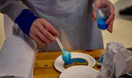 Spalvoto meduolio diena Klaipėdoje