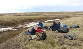 KU arkties ekspedicija