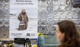 Nyksta žuvys: ko artimiausiais metais gali nelikti ant mūsų stalo?