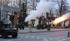 Lietuvos kariuomenės diena