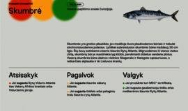 Nyksta žuvys: ko artimiausiais metais gali nelikti ant mūsų stalo?