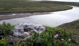 KU arkties ekspedicija