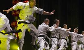 Rytų egzotika Lietuvoje: nuo arbatos gėrimo ceremonijos iki kung fu kovos meno