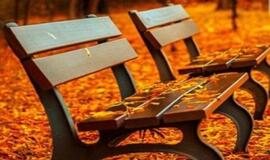 Savaitgalį nepalikime namie skėčių, jie labai pravers