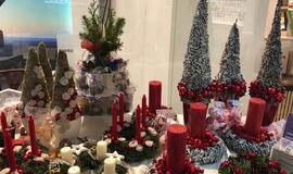 Vilties mugė įsibėgėja