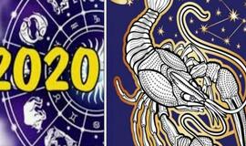 Vaivos Budraitytės 2020 metų horoskopas Vėžiams