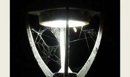 „Kultūros Fabrike“ paroda keičia parodą