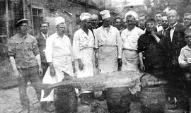 Senieji Klaipėdos krašto Advento valgiai