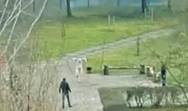 Teismas trims mėnesiams suėmė nuogą mokyklos teritorijoje sulaikytą vyrą