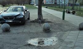 Vakarų Lietuvos automobilių statymo ypatumai