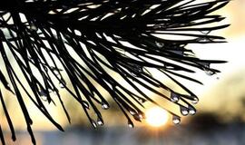 Orai: smarkų vėją keis žiemiški akcentai