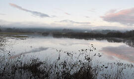 Pavasarėjanti gamta kelia ir džiugesį, ir nerimą