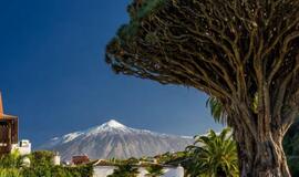 Dėl koronaviruso prašoma susilaikyti nuo kelionių į Tenerifę