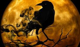 Kovo mėnesio horoskopas 12-ai Zodiako ženklų