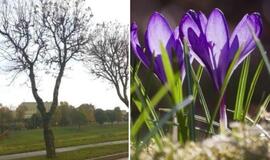 Orai: po žiemiškų išdaigų – pavasariška šiluma