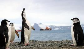 Rekordas: Antarktidoje užfiksuota tokia pat temperatūra kaip saulėtoje Kalifornijoje