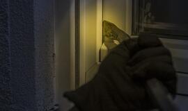 Suvestinė: smūgis lazda, girtas BMW vairuotojas ir apvogtas namas