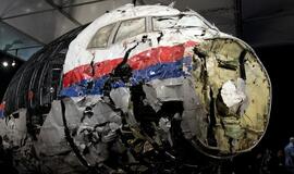 Tyrėjai rado liudininką, savo akimis mačiusį MH17 lėktuvo numušimą virš Rytų Ukrainos
