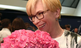 I. Šimonytė sutiko vesti TS-LKD sąrašą Seimo rinkimuose