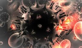 Išsamiai ir aiškiai: kas vyksta organizme susirgus naujuoju koronavirusu