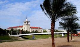 Kada Vilniuje vėl augs palmės?