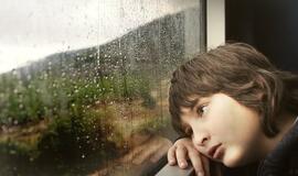 Kodėl šiuolaikiniai vaikai nemoka mokytis, nemoka laukti ir sunkiai pakelia nuobodulį