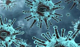 Patvirtintų koronaviruso atvejų skaičius išaugo iki 345