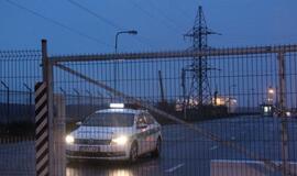 Pervargę važiavo į keltus: lenkams kiaulės svarbesnės už žmones