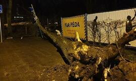 Stiprios audros padariniai Klaipėdoje: tūkstančiai vis dar be elektros