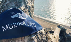 „Muzika gydo“: Muzikinio teatro kaukės – darbuotojams ir medikams