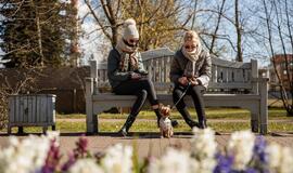 Švelninamas karantinas uostamiesčio verslininkų neguodžia