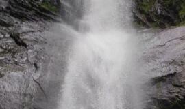 Klaipėdiečių klajonės po Batumį: kelyje - karvės, ant langų - apatiniai (II)