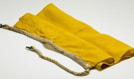 Ar žinote, ką reiškia iškelta geltona vėliava?