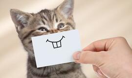 Dopaminas: malonumų hormonas, kurio gamyba organizme priklauso tik nuo mūsų pačių pasirinkimo