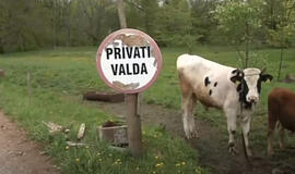 Kapinės atsidūrė privačioje žemėje