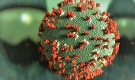 Katare pradeda galioti griežčiausia pasaulyje galima bausmė už kaukės nedėvėjimą viešumoje