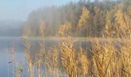 Laiką leidžiame lauke: 6 patarimai, kaip fotografuoti gamtą