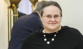 Tyrimas dėl Landsbergių sklypo už 1 eurą skinasi kelią Seime