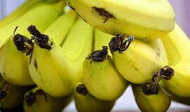 10 įdomių faktų apie bananus