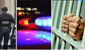 Suvestinė: vagystės, plėšimai, 486 šoviniai