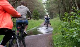 Dviračių takas - Lietuvos gėda (Visas tekstas)