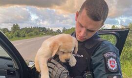 Girtas vairuotojas vežėsi mielą keturkojį