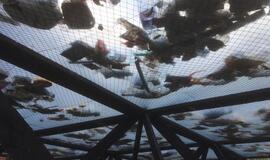 Klaipėdiečių reakcija į taršą: iš atliekų kyla instaliacija „Sala“