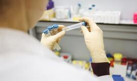 Kretingos rajone testuos intensyviau