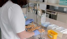 Lietuva vakciną nuo COVID-19 planuoja pirkti kartu su kitomis ES šalimis