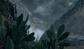 Nidos meno kolonijoje - vasaros paroda