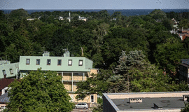 Palanga taupiems: 12 pramogų, kurioms neišleisite nė cento